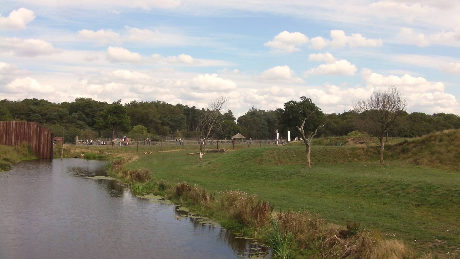 Lion Country Pride 1 - 19.08.2011