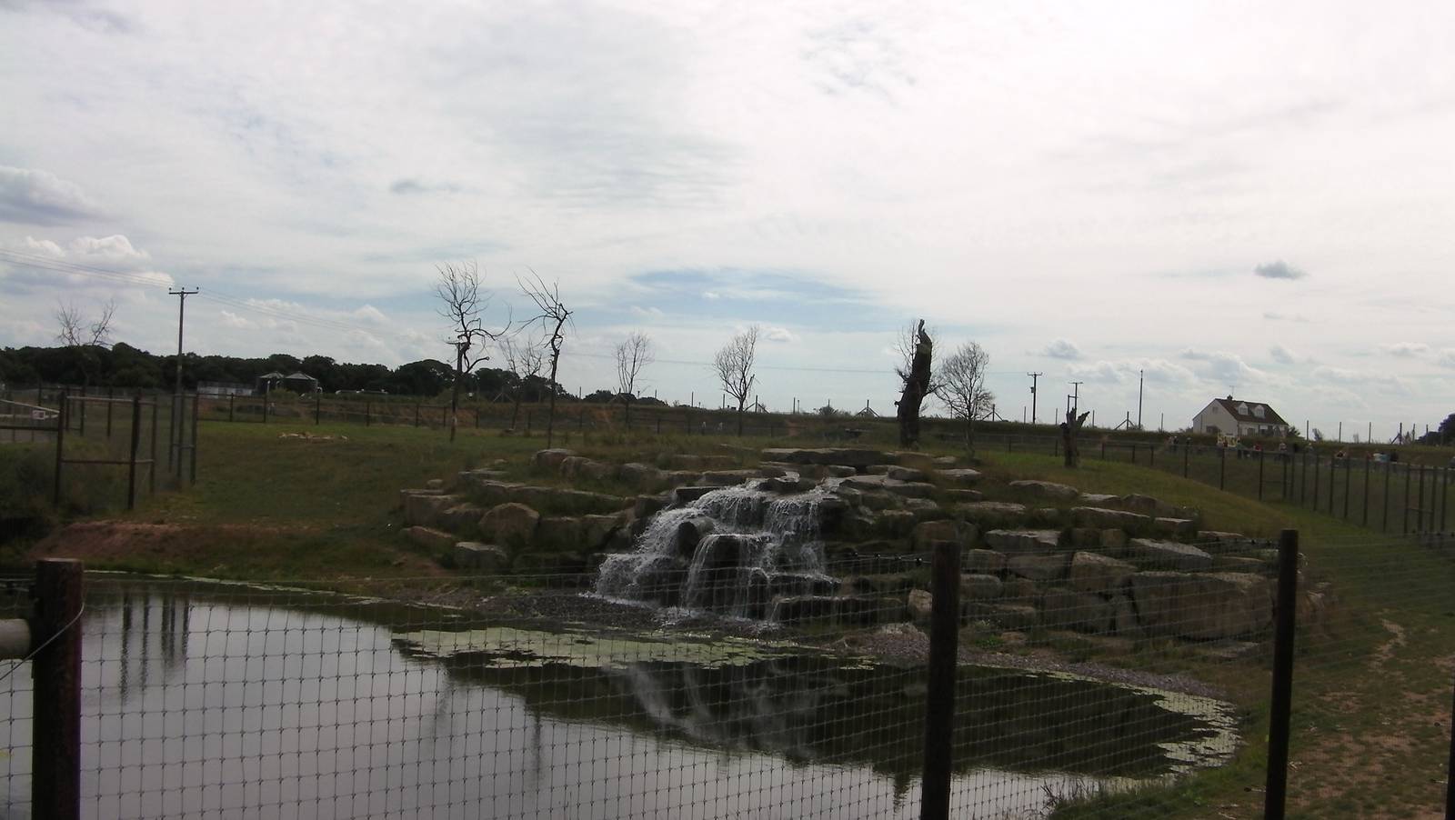 Lion Country Pride 2 - 19.08.2011