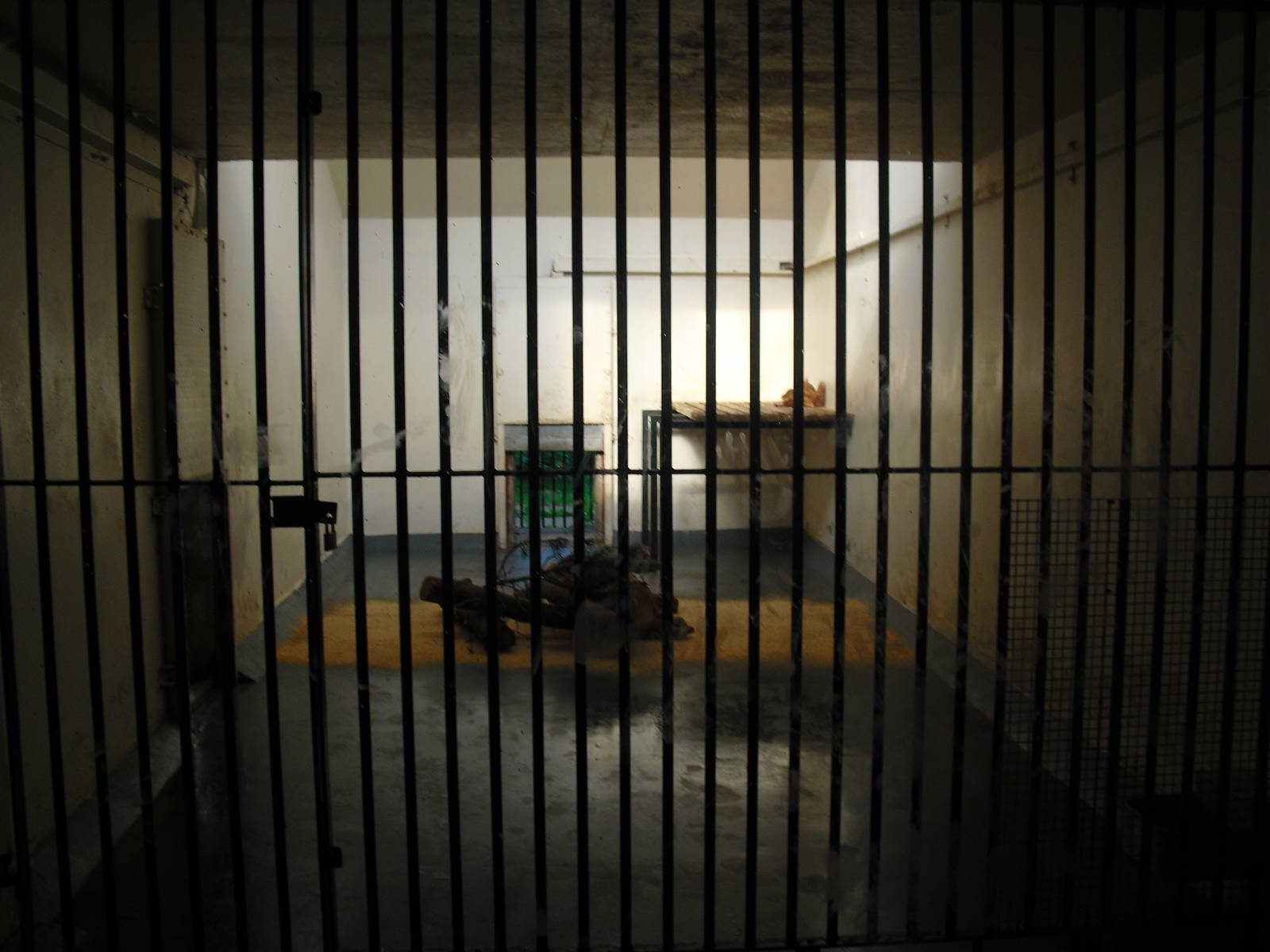 Lion Dens - 01/10/2011