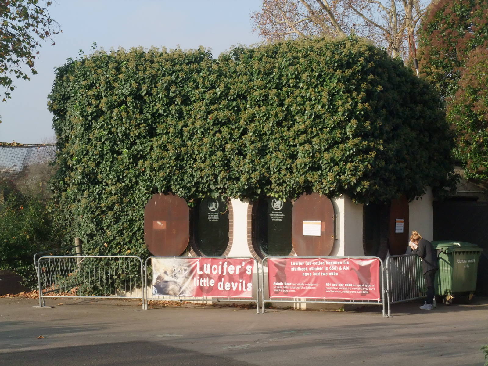 Lion Dens at London, 16/11/11