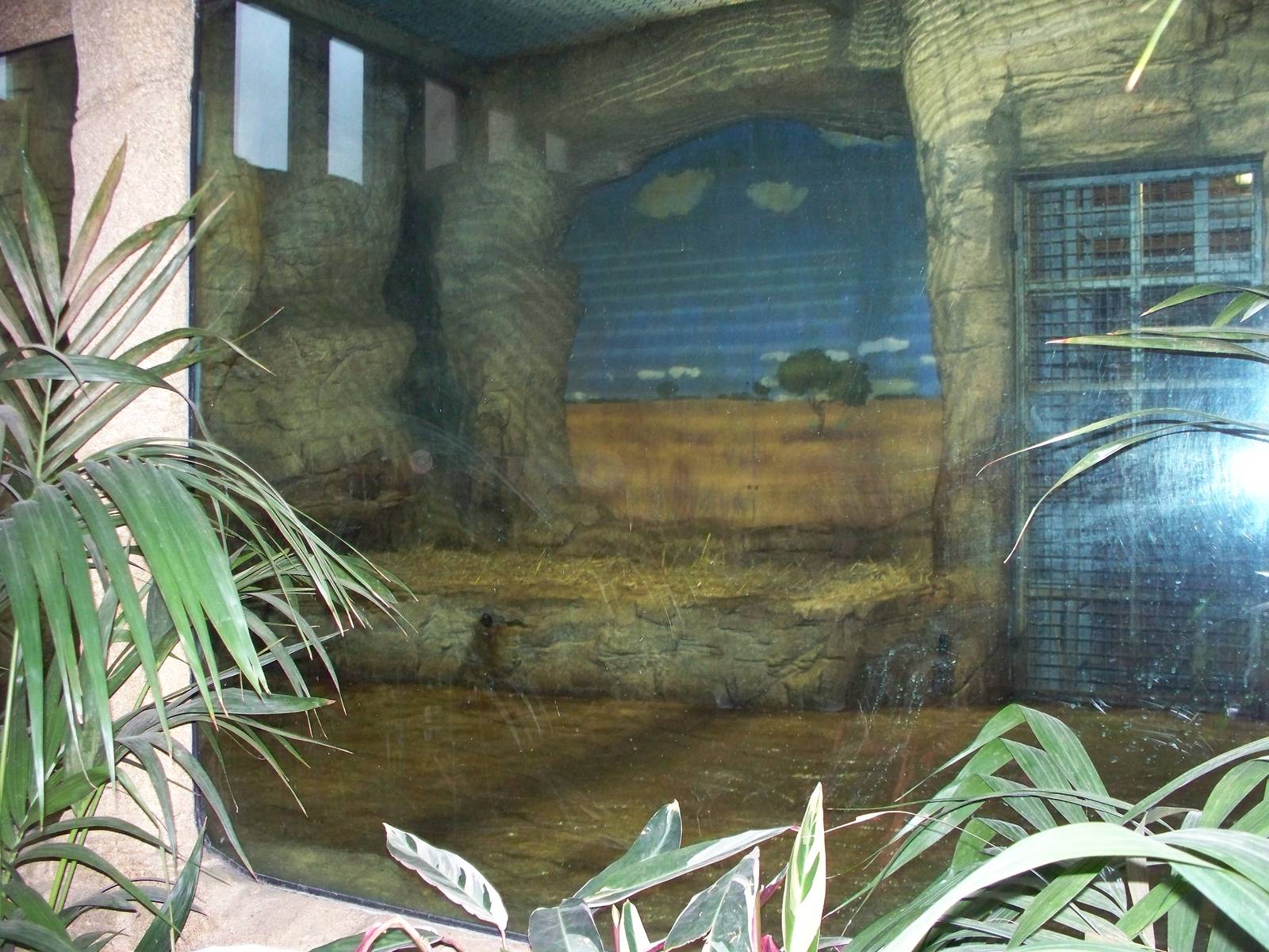 lion Dens night quarters