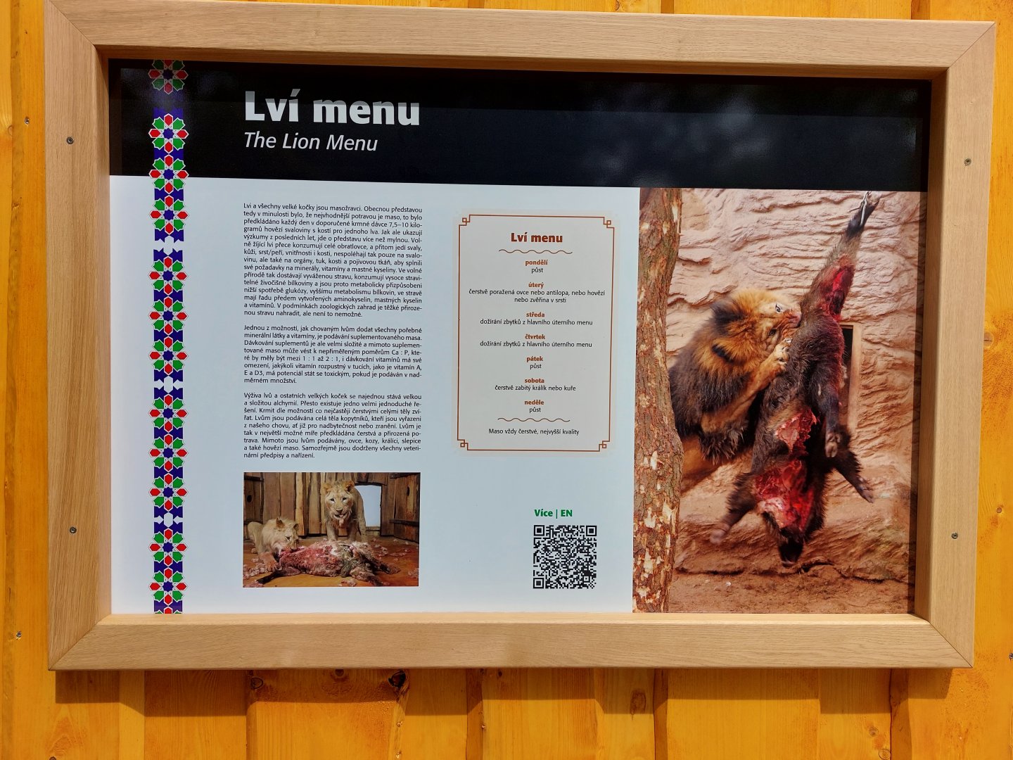 Lion diet education board