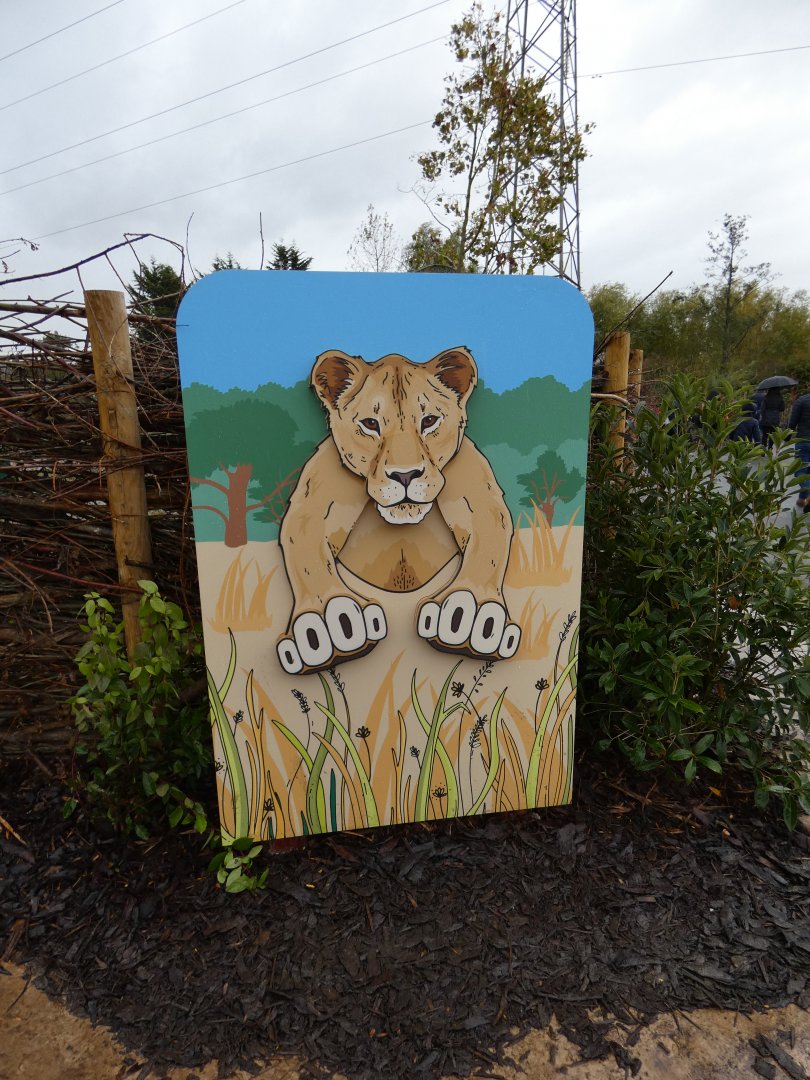 Lion display signage