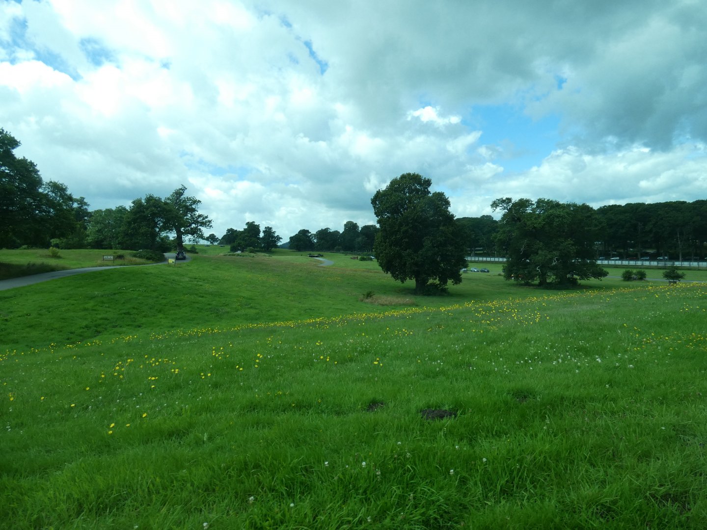 Lion drive-through enclosure