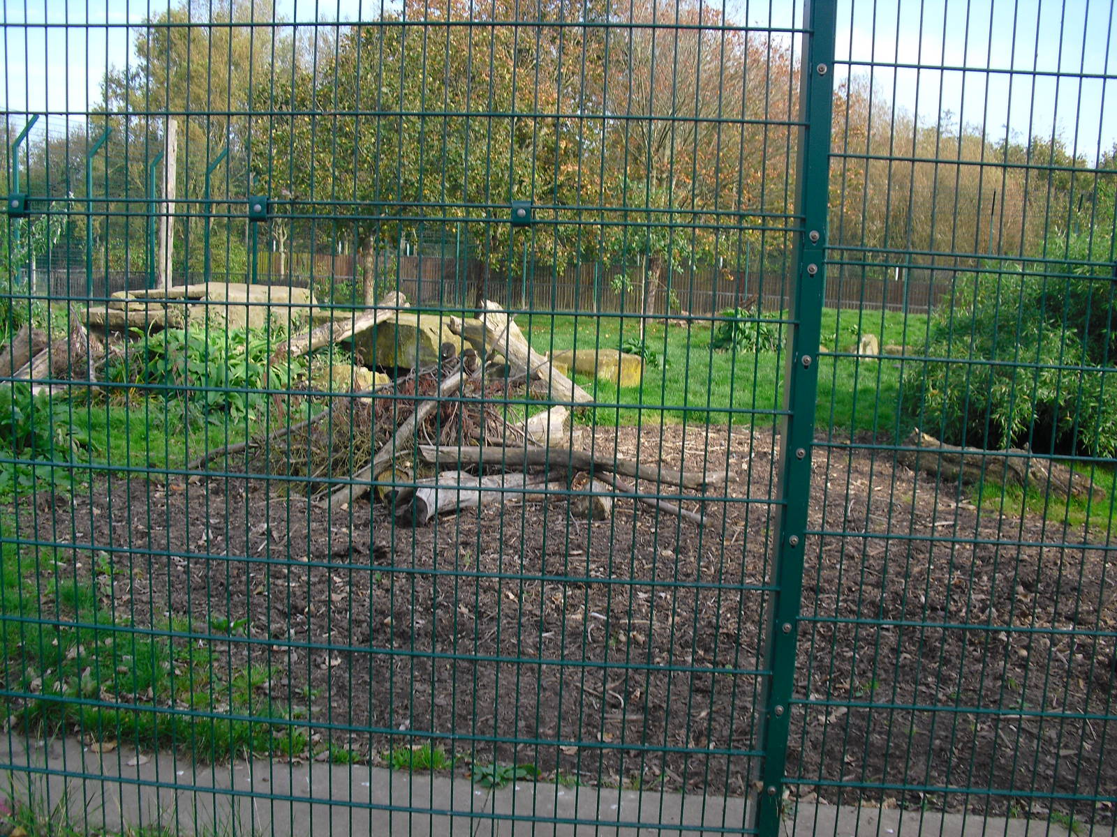 Lion Enclosure 01/10/2011