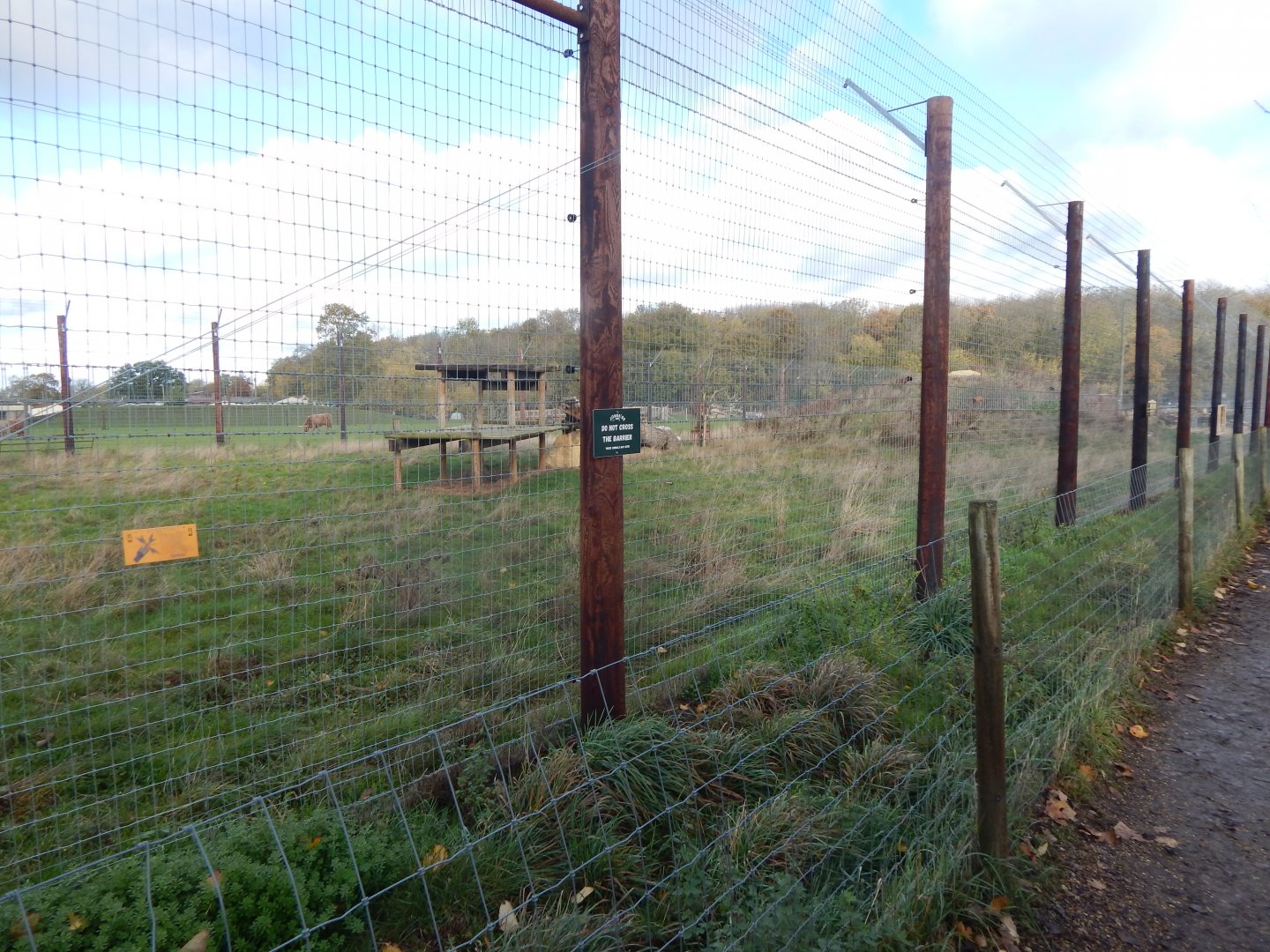 Lion enclosure 021125