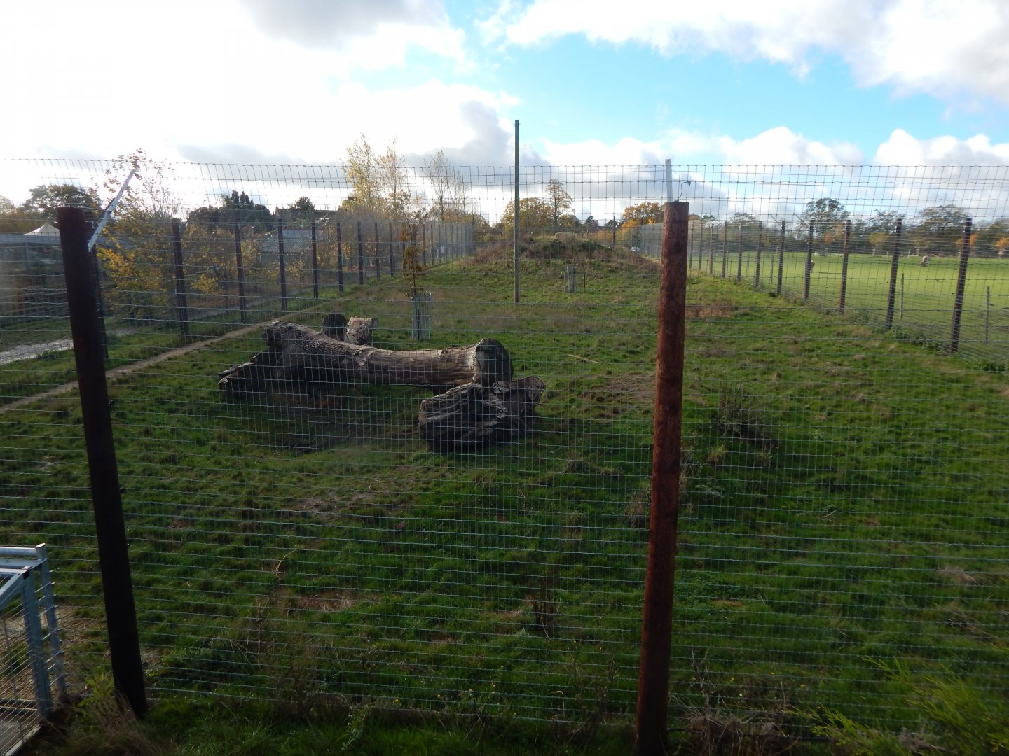 Lion enclosure 021125