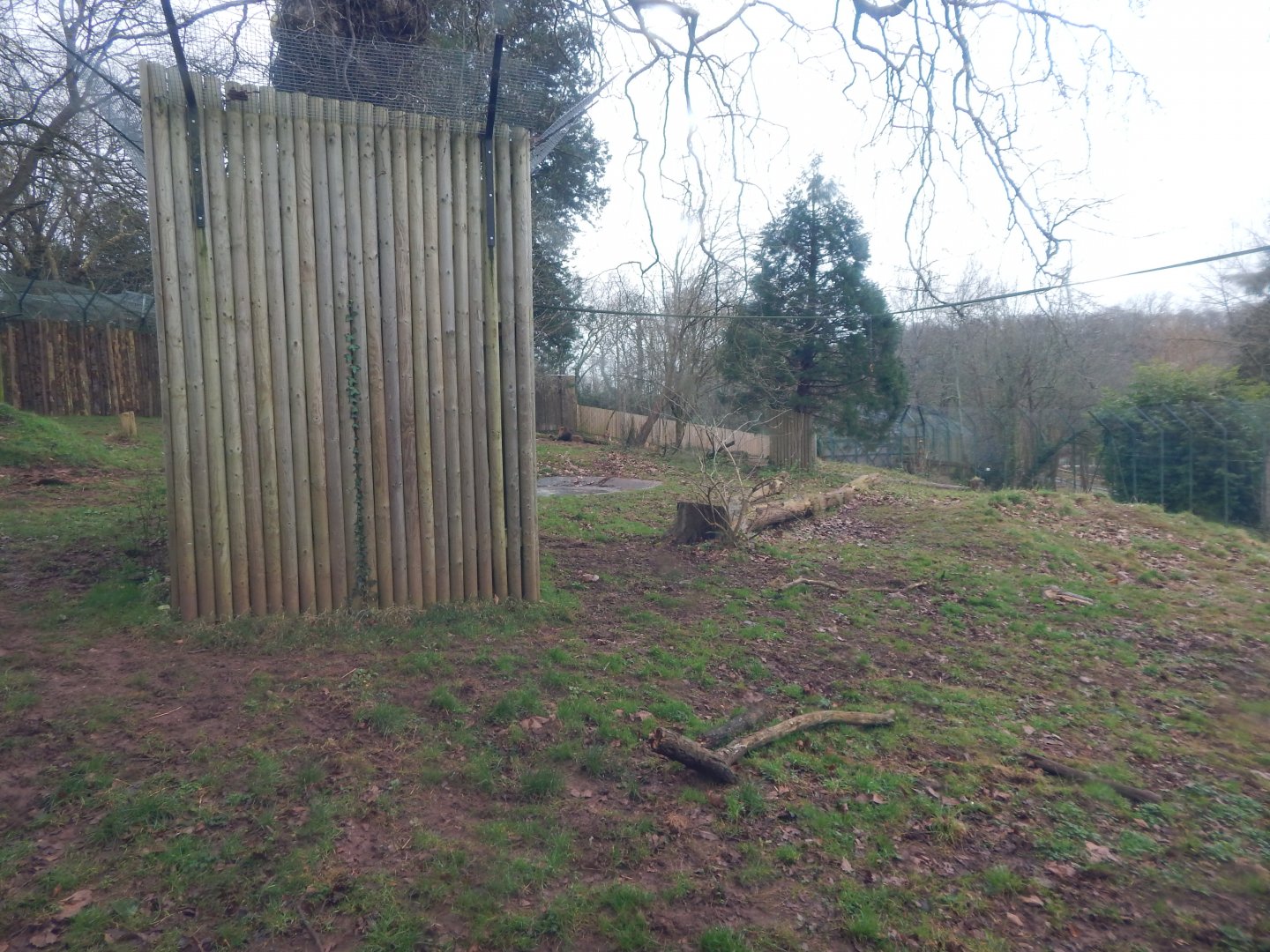 Lion enclosure 050224