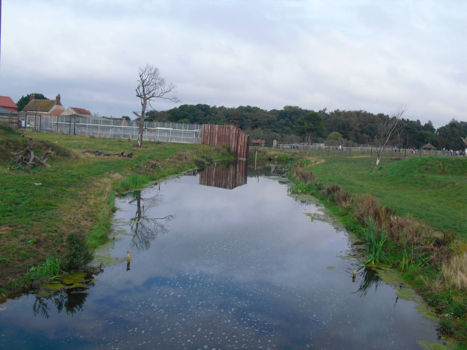Lion Enclosure - 06/09/2011