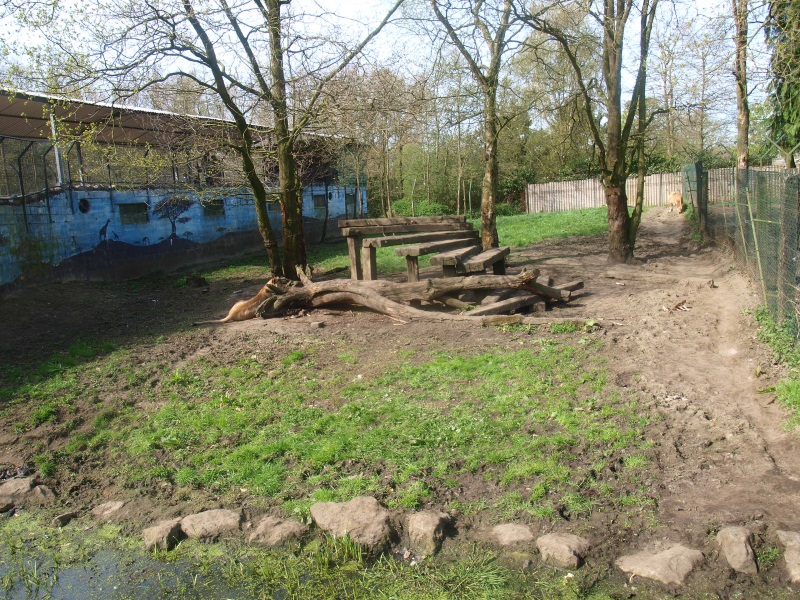 Lion enclosure 2 (April 19th, 2015)