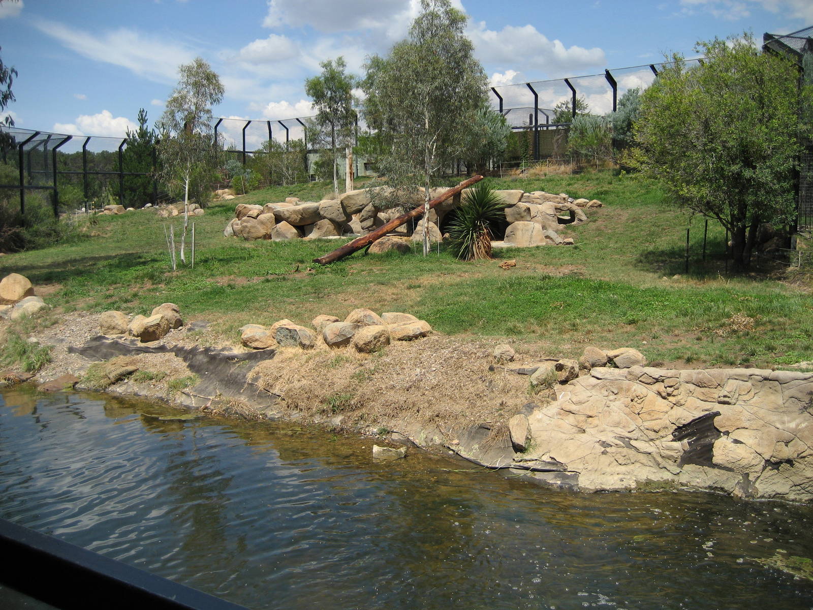 Lion enclosure - 2007