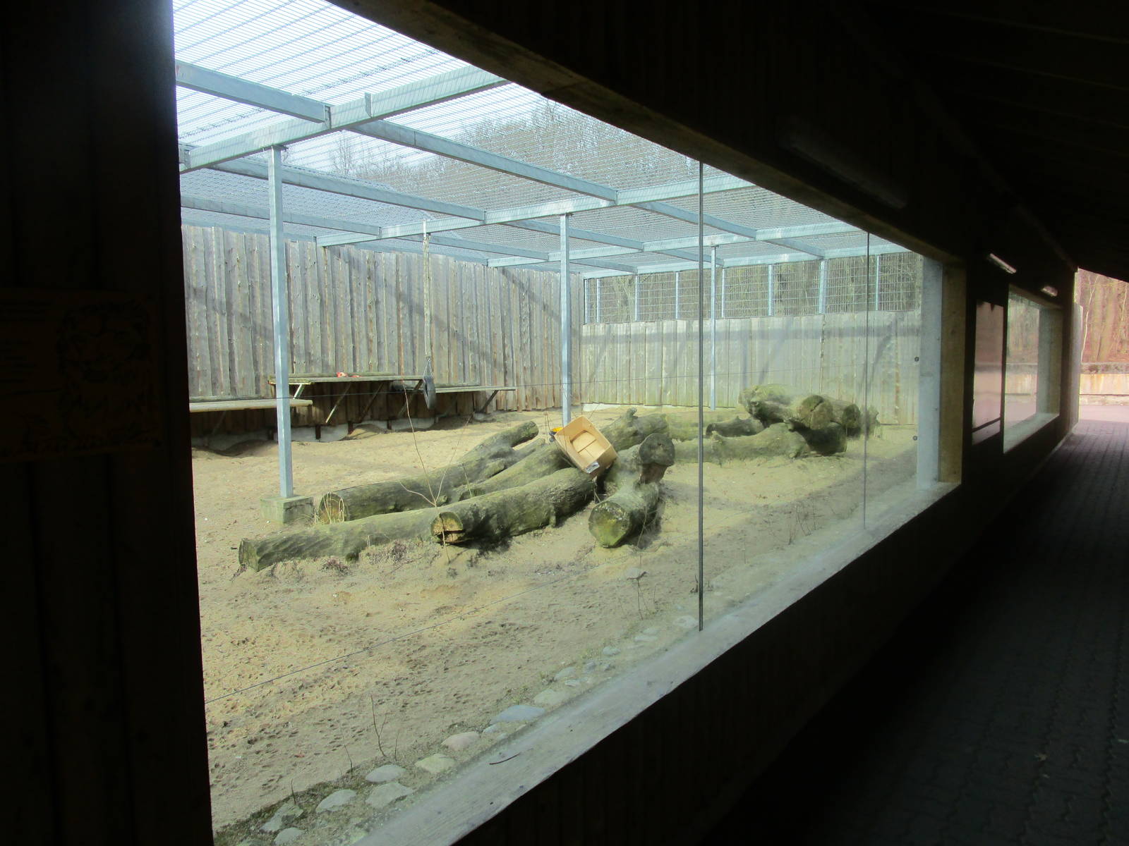 Lion Enclosure - 25/03/15