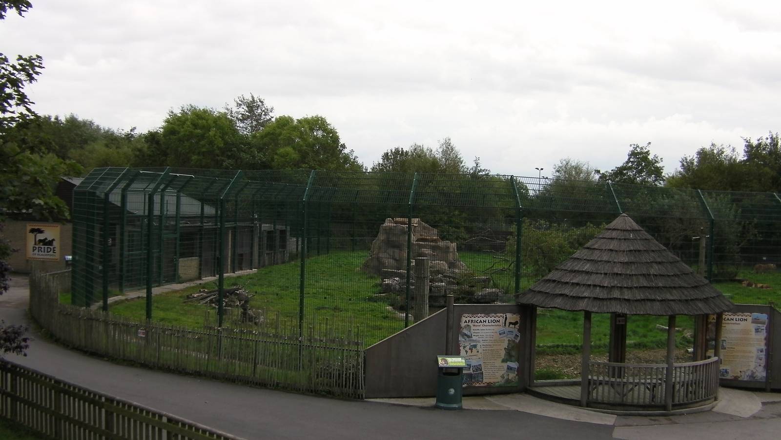 Lion Enclosure - 26.08.2011