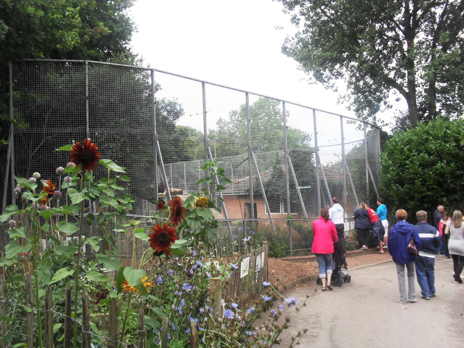 Lion enclosure and Dig for victory garden