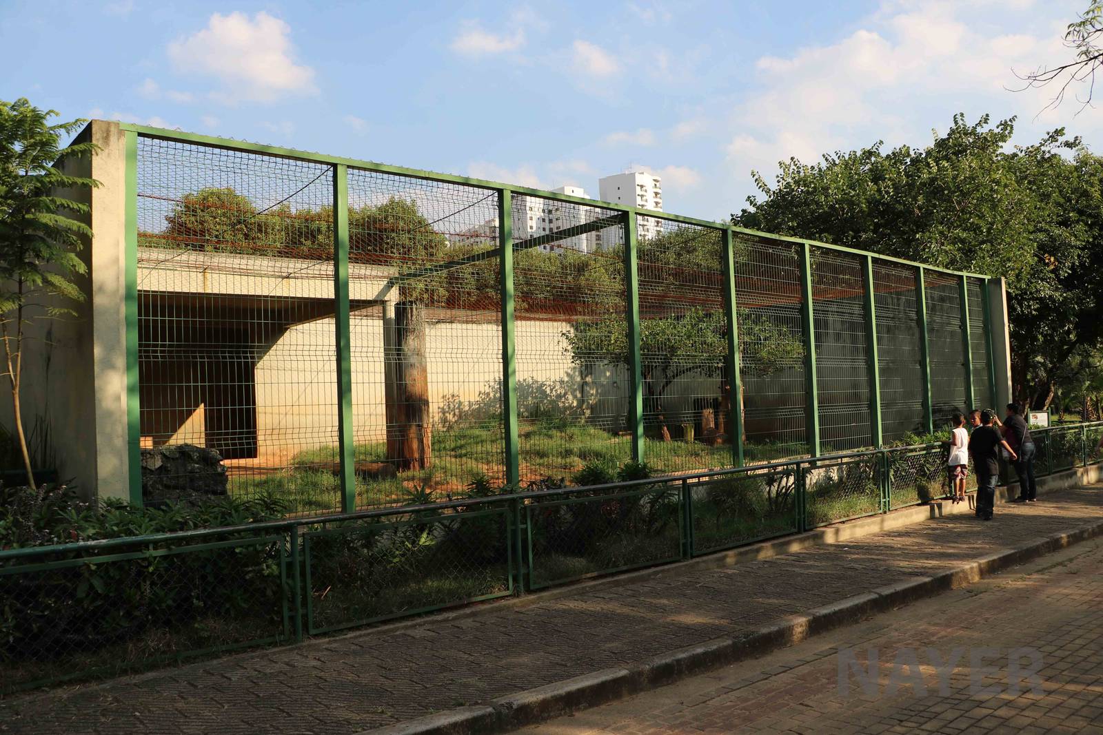 Lion enclosure, April 2016