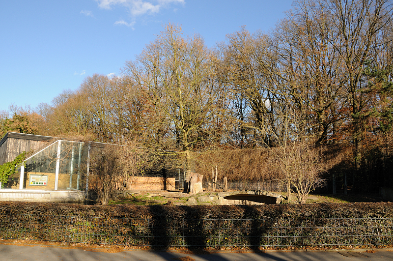 Lion enclosure at Dortmund