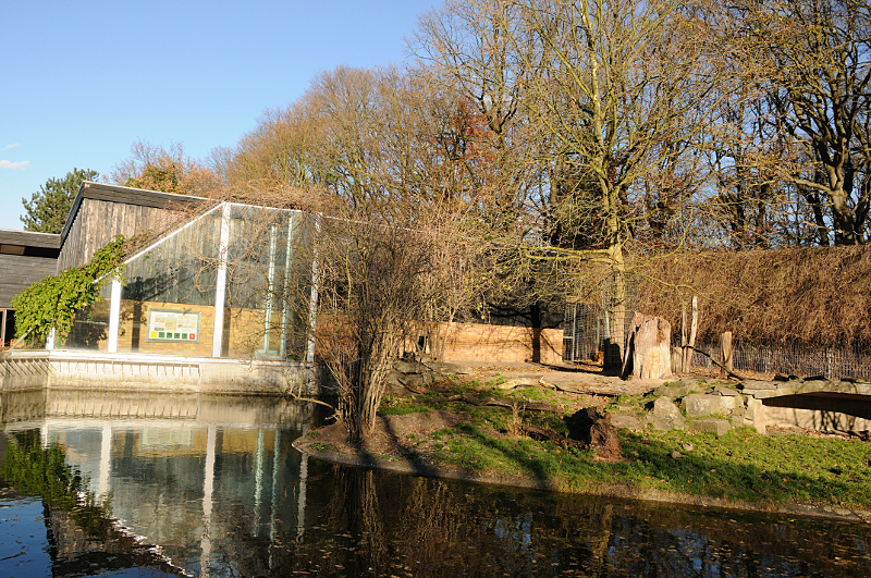 Lion enclosure at Dortmund