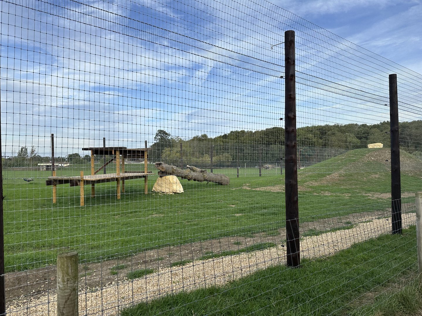Lion Enclosure at Johnsons of Old Hurst (October 2023)
