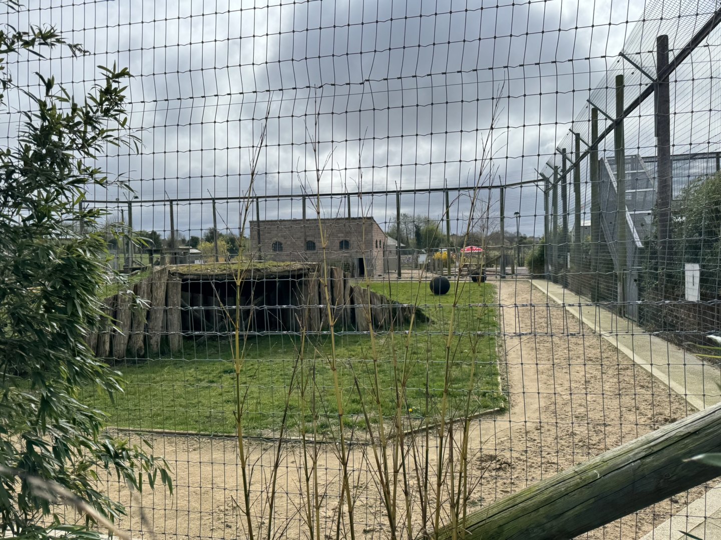 Lion Enclosure at Wolds Wildlife Park (March 2024)
