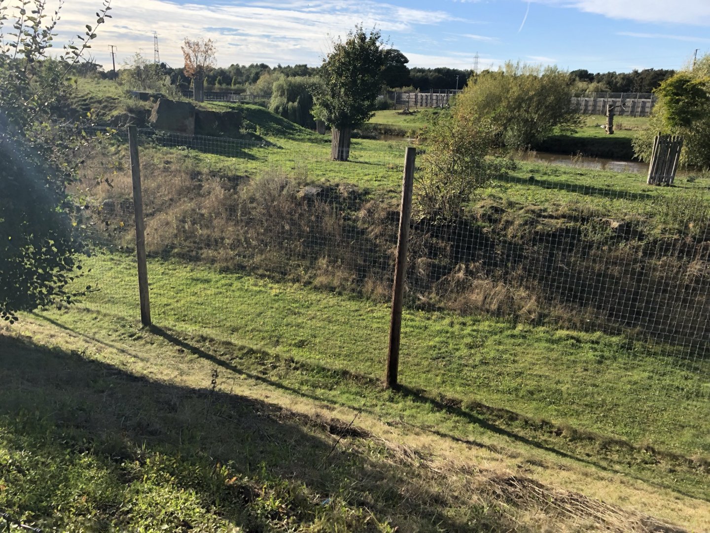 Lion Enclosure at Yorkshire Wildlife Park (October 2021)