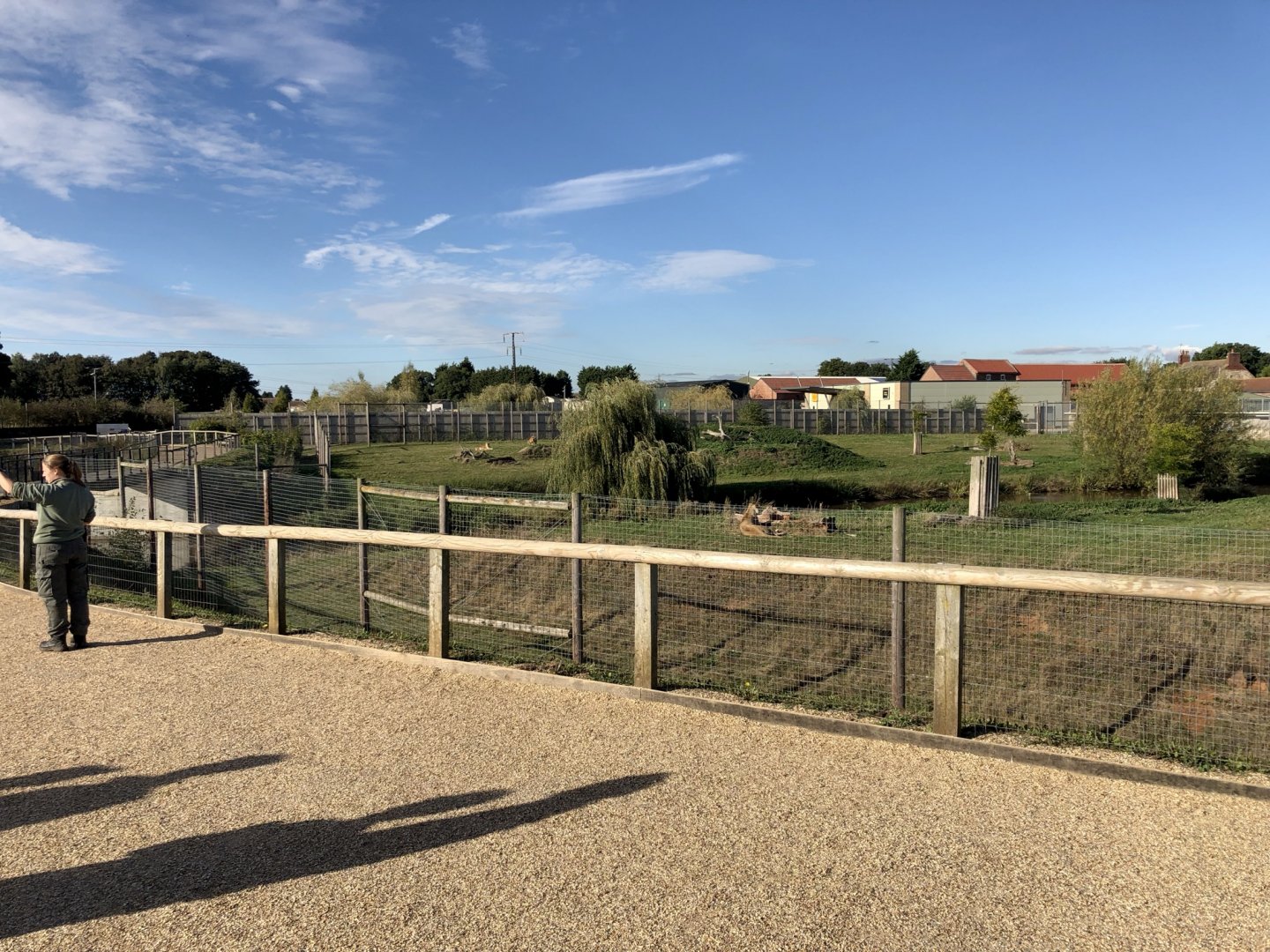 Lion Enclosure at Yorkshire Wildlife Park (October 2021)