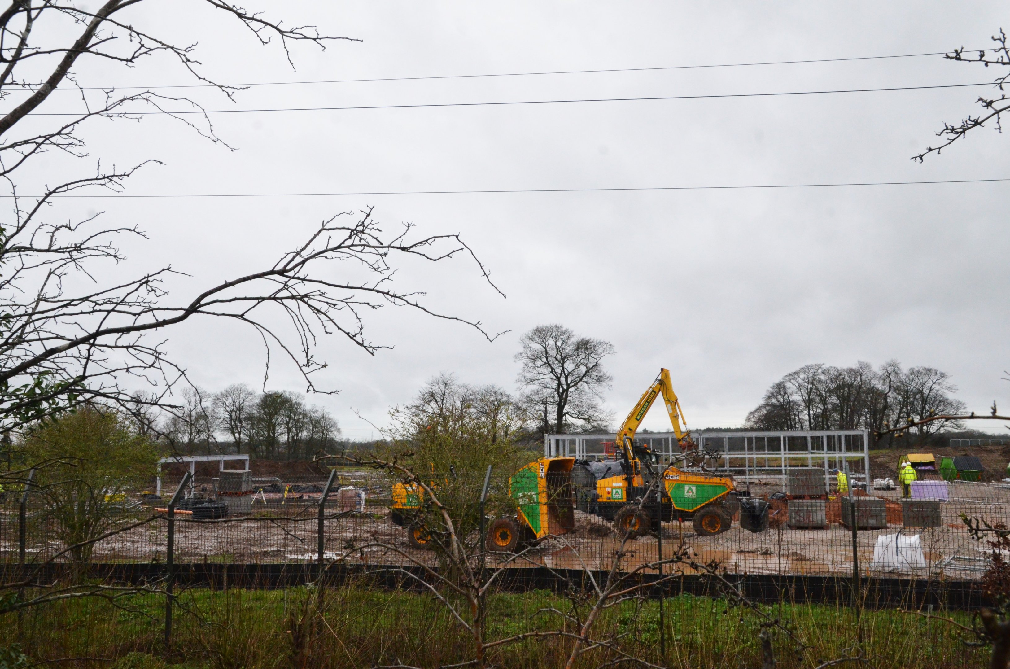 Lion Enclosure Construction Progress at Chester 07/03/19