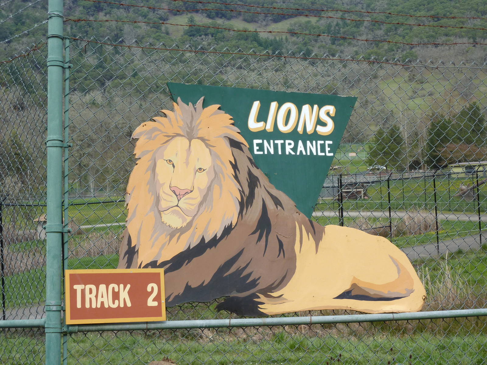 Lion Enclosure - Entrance