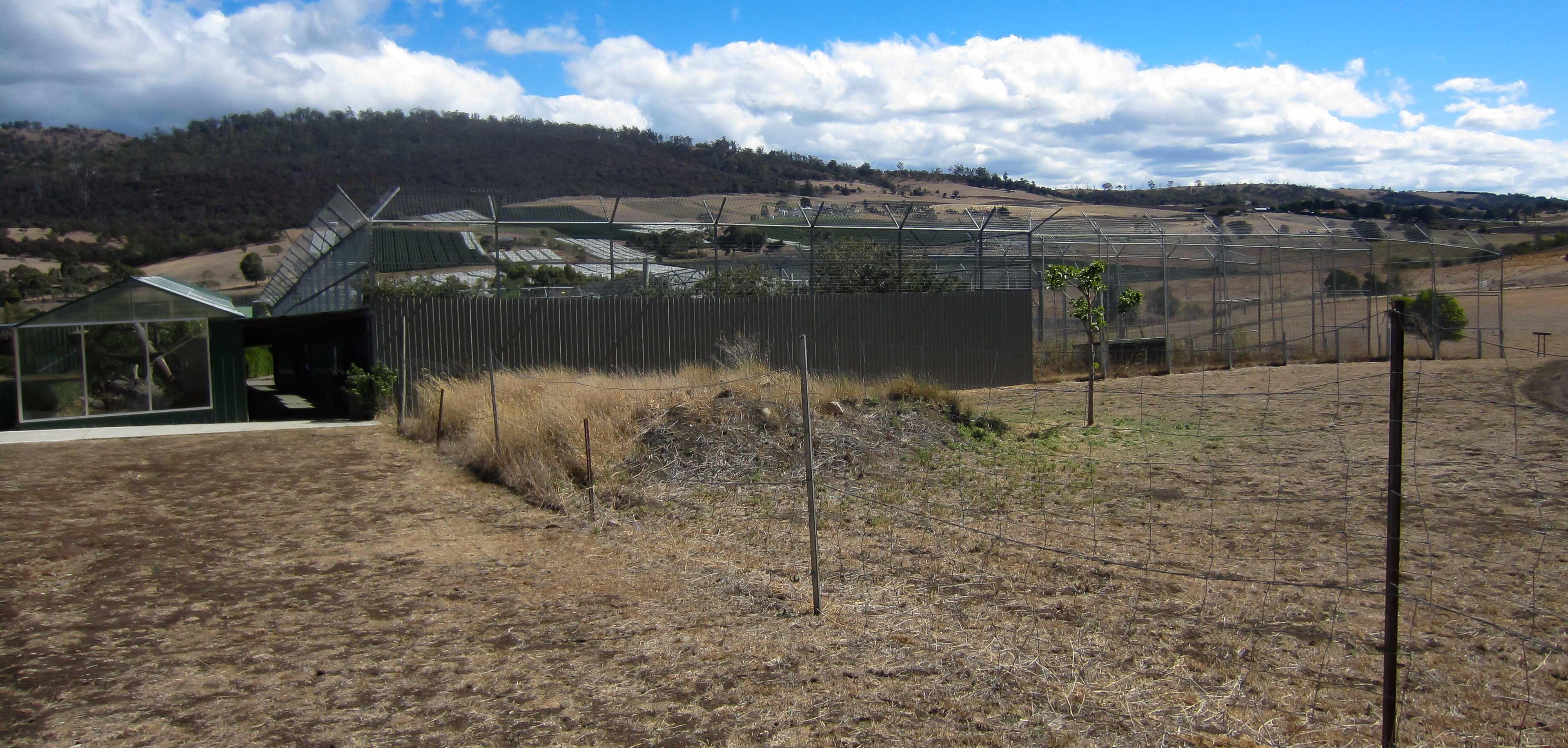 Lion enclosure exterior