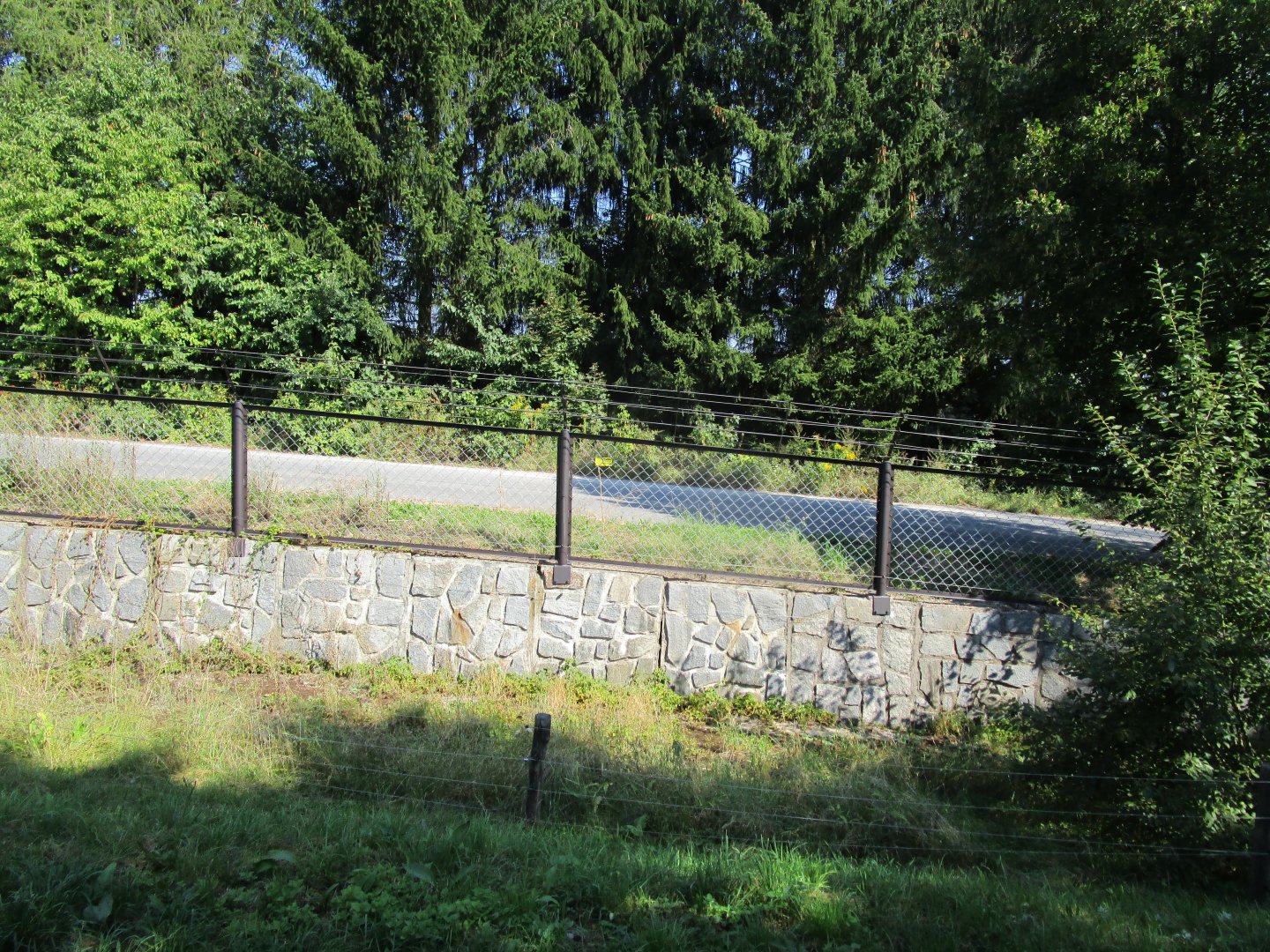 Lion enclosure fence