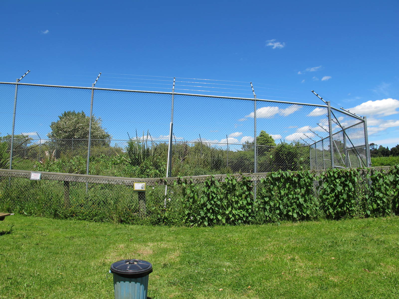 Lion Enclosure - Franklin Zoo