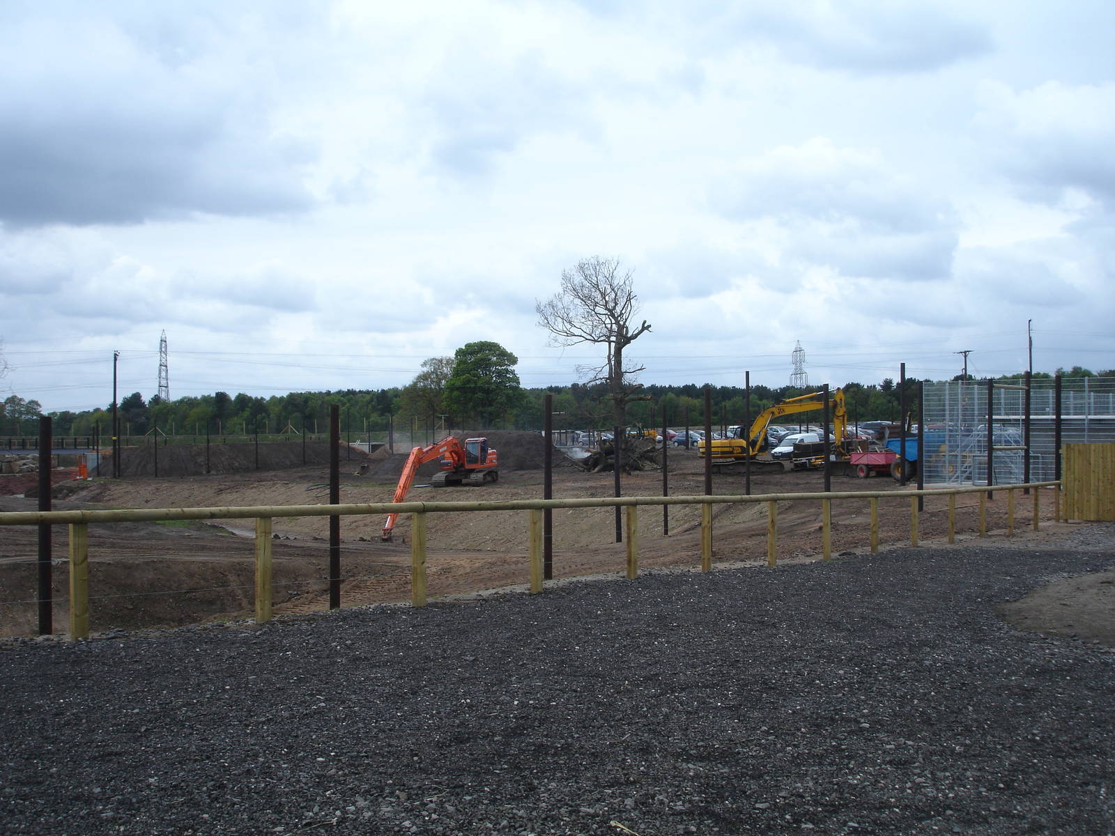 Lion Enclosure in progress - opens in 2 weeks