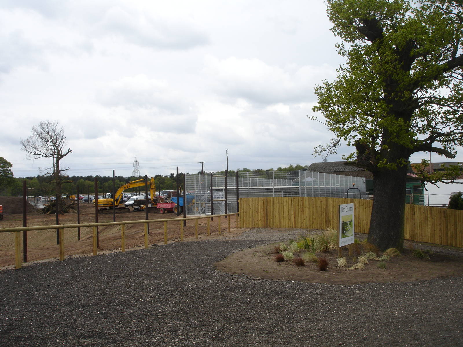 Lion Enclosure in progress - opens in 2 weeks