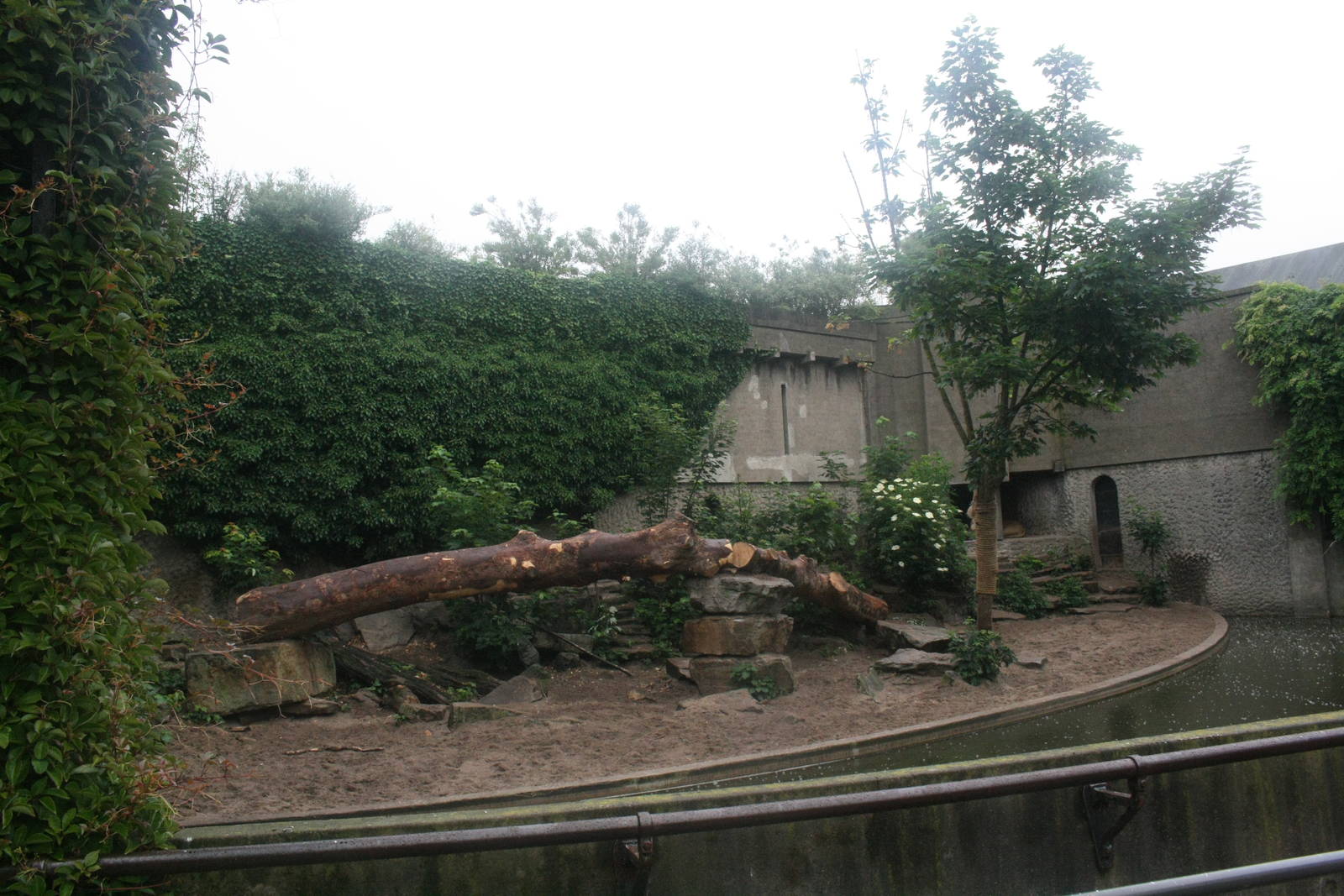 Lion Enclosure - June 2015