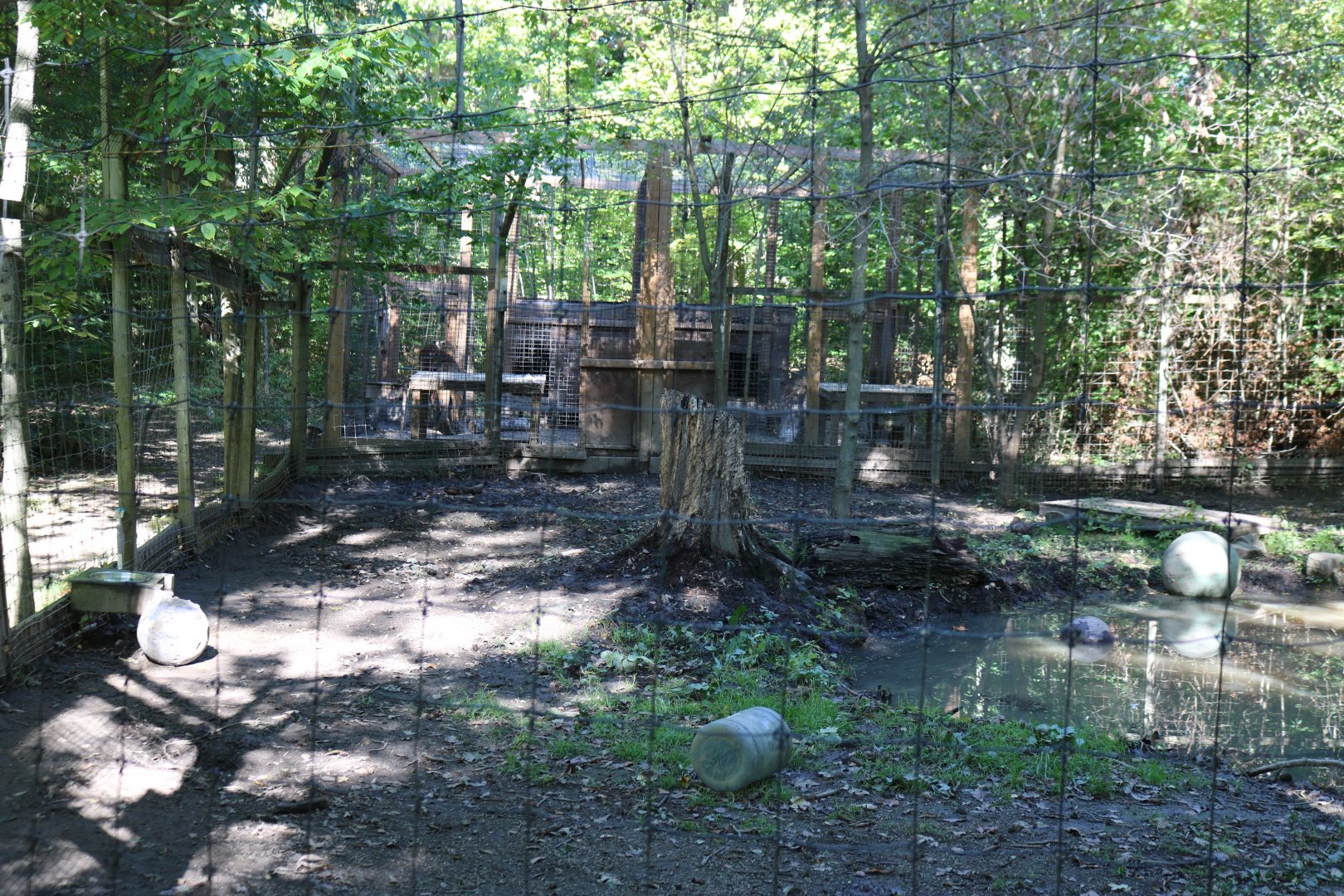 Lion Enclosure (left side)