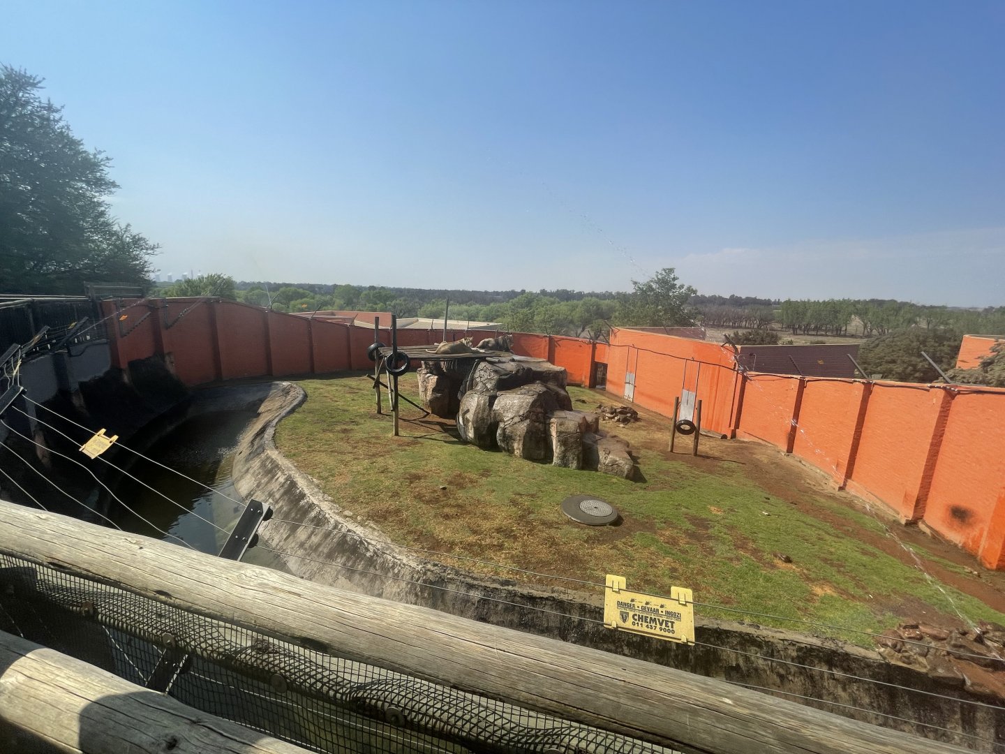 Lion Enclosure (Leo panthera)