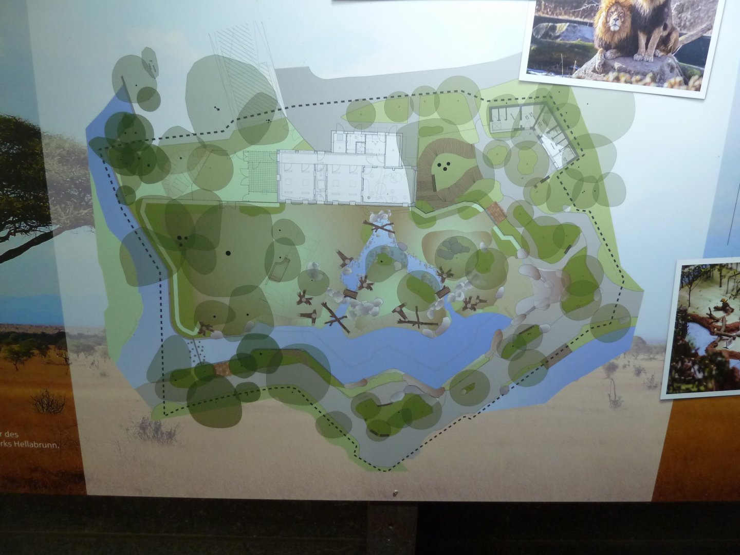 Lion enclosure - Map