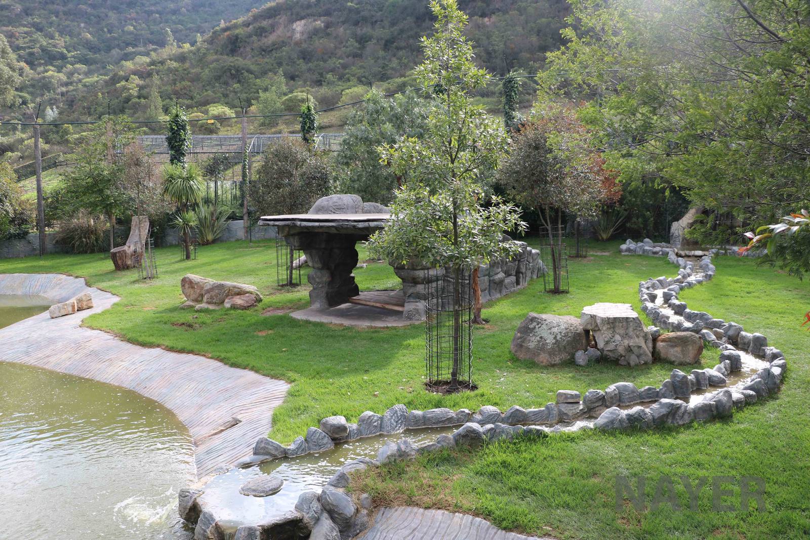 Lion enclosure, March 2016