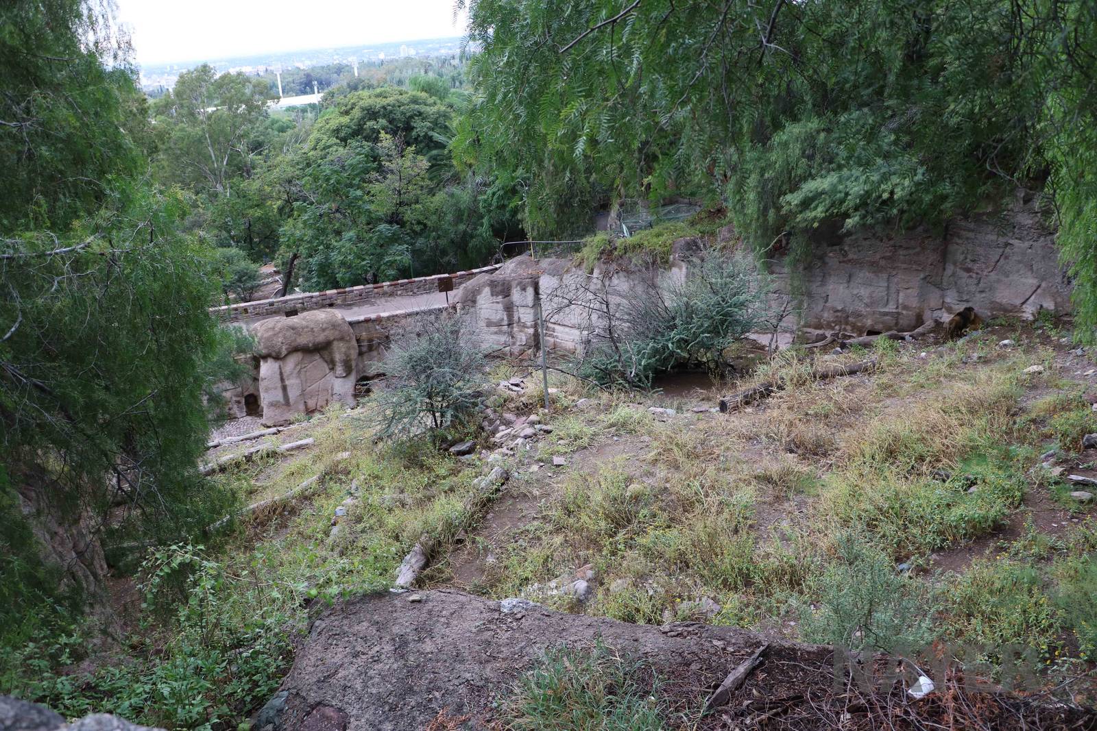 Lion enclosure - Mendoza Zoo, April 2016