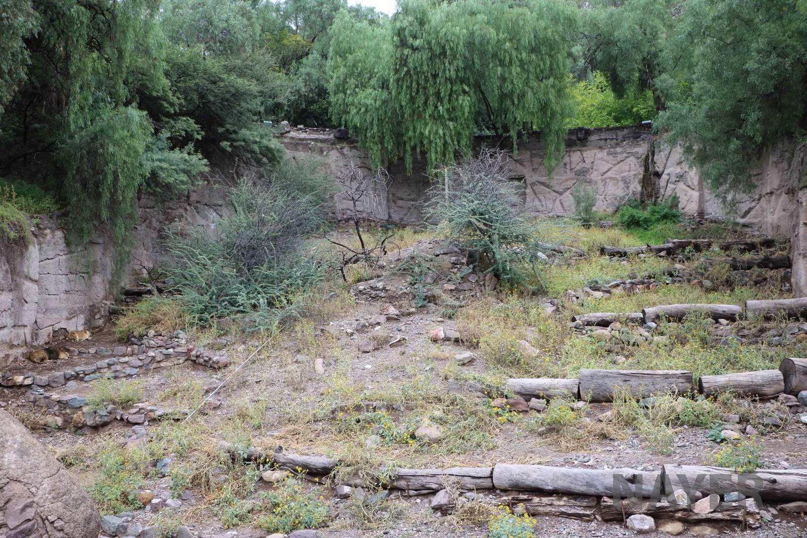 Lion enclosure - Mendoza Zoo, April 2016