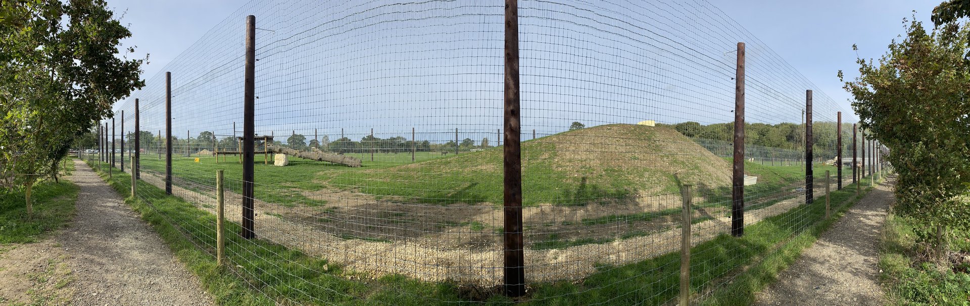 Lion enclosure panoramic, Johnsons of Oldhurst, UK