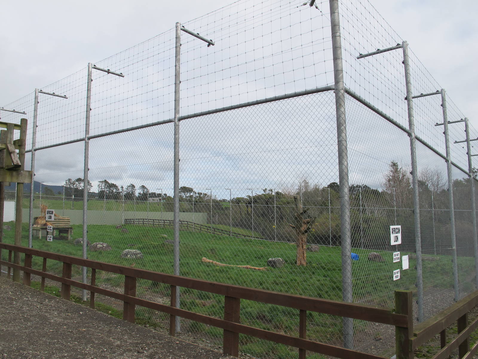 Lion Enclosure - Pouakai Zoo