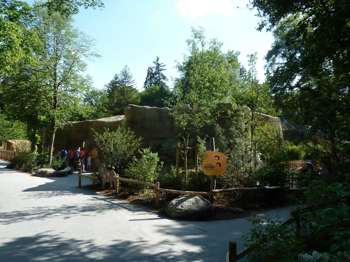 Lion enclosure surroundings