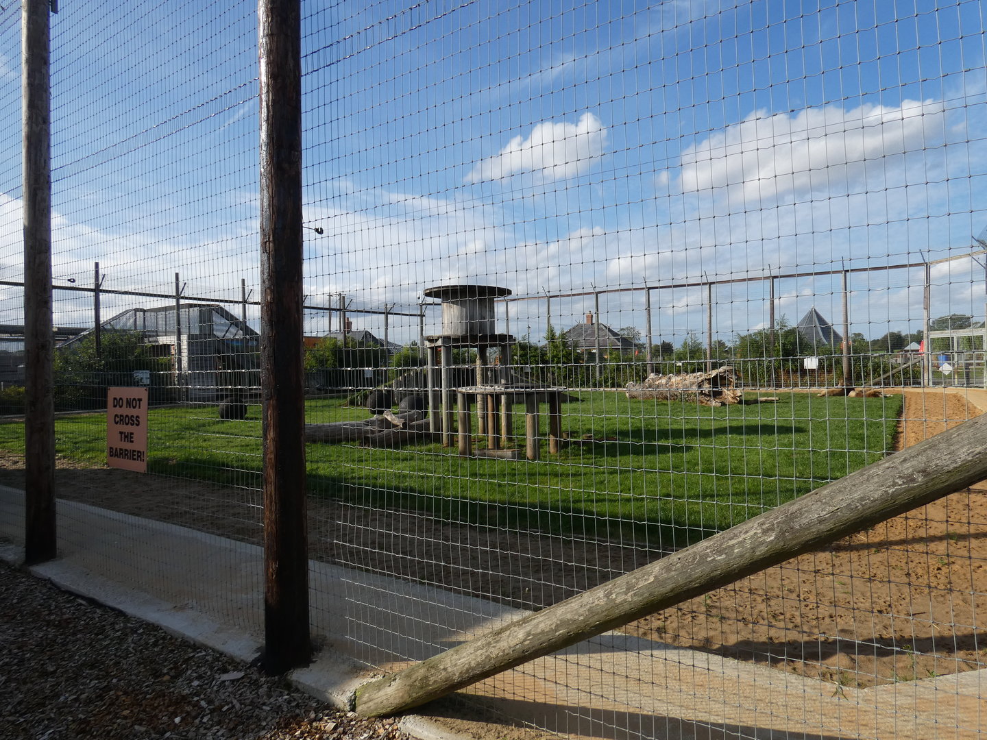 Lion enclosure (two males)