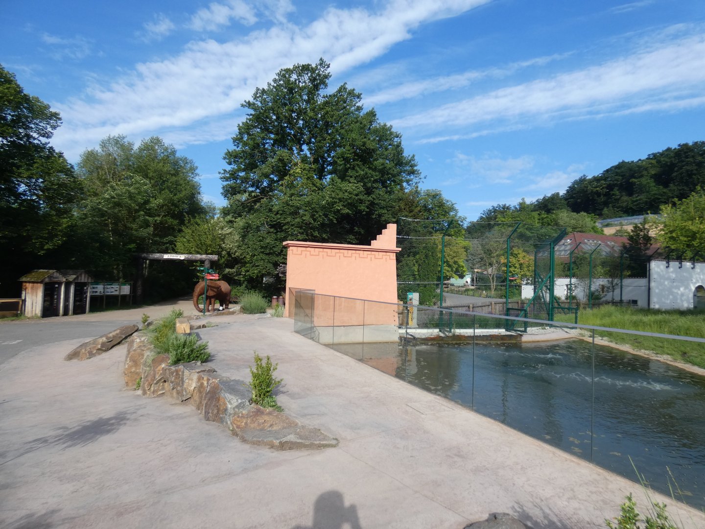 Lion enclosure viewing area
