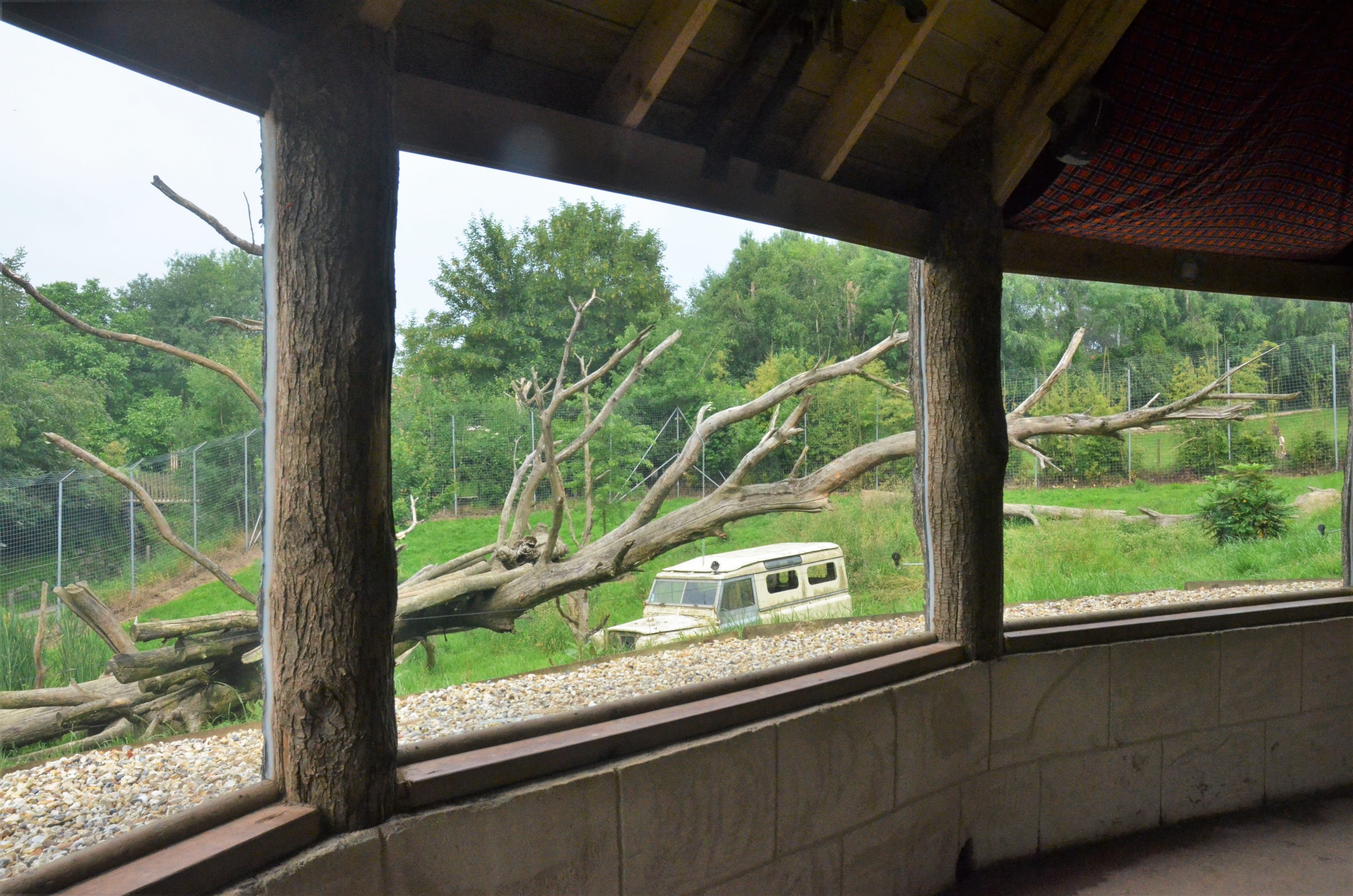 Lion Enclosure Viewing at CERZA, 10/06/18