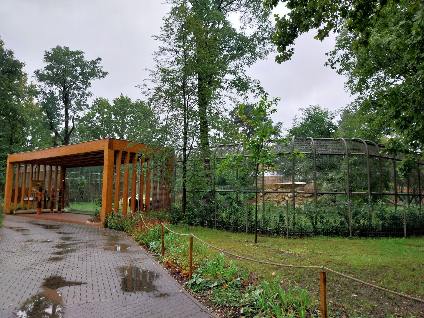 Lion enclosure - Viewing point
