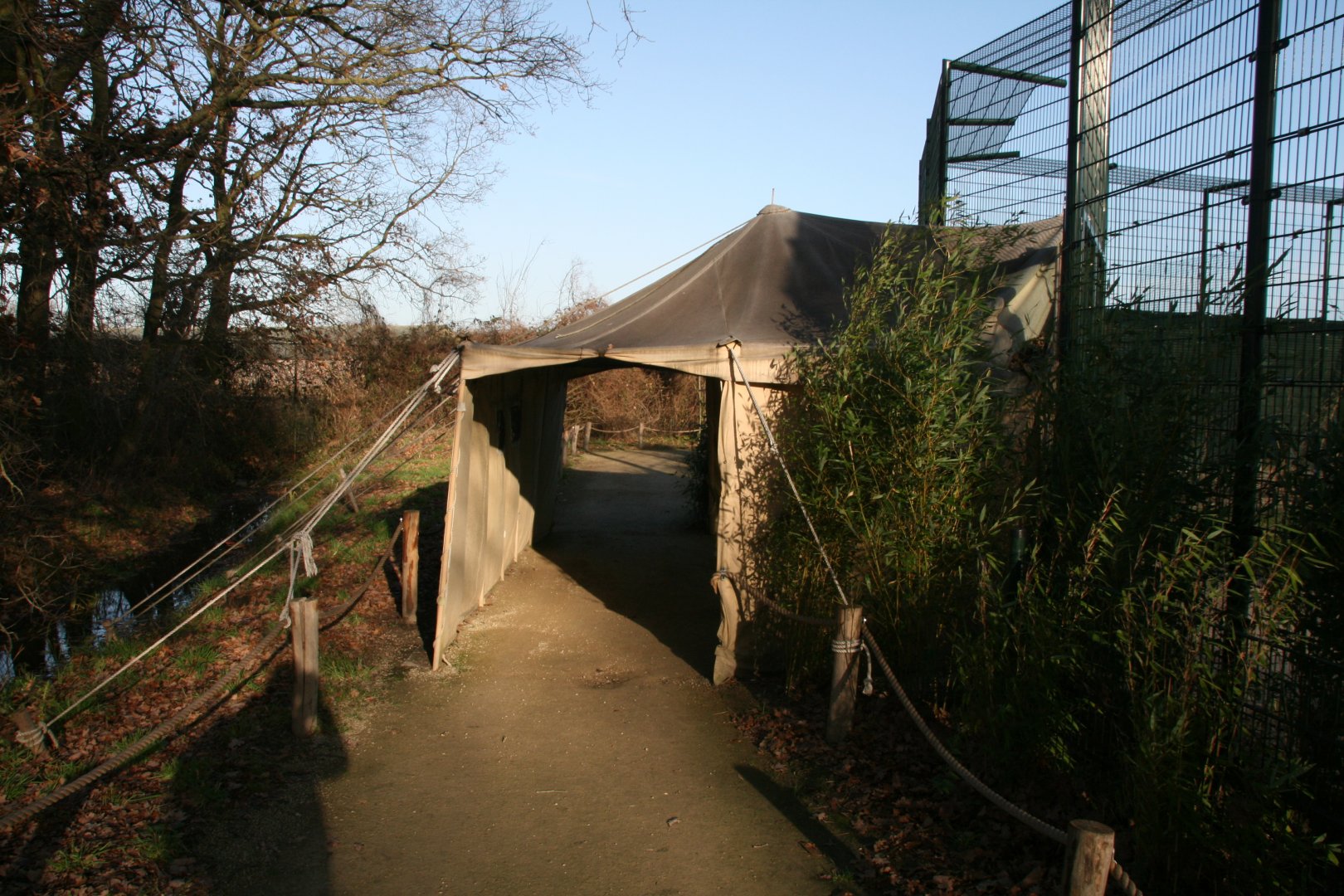 lion enclosure viewing shelter