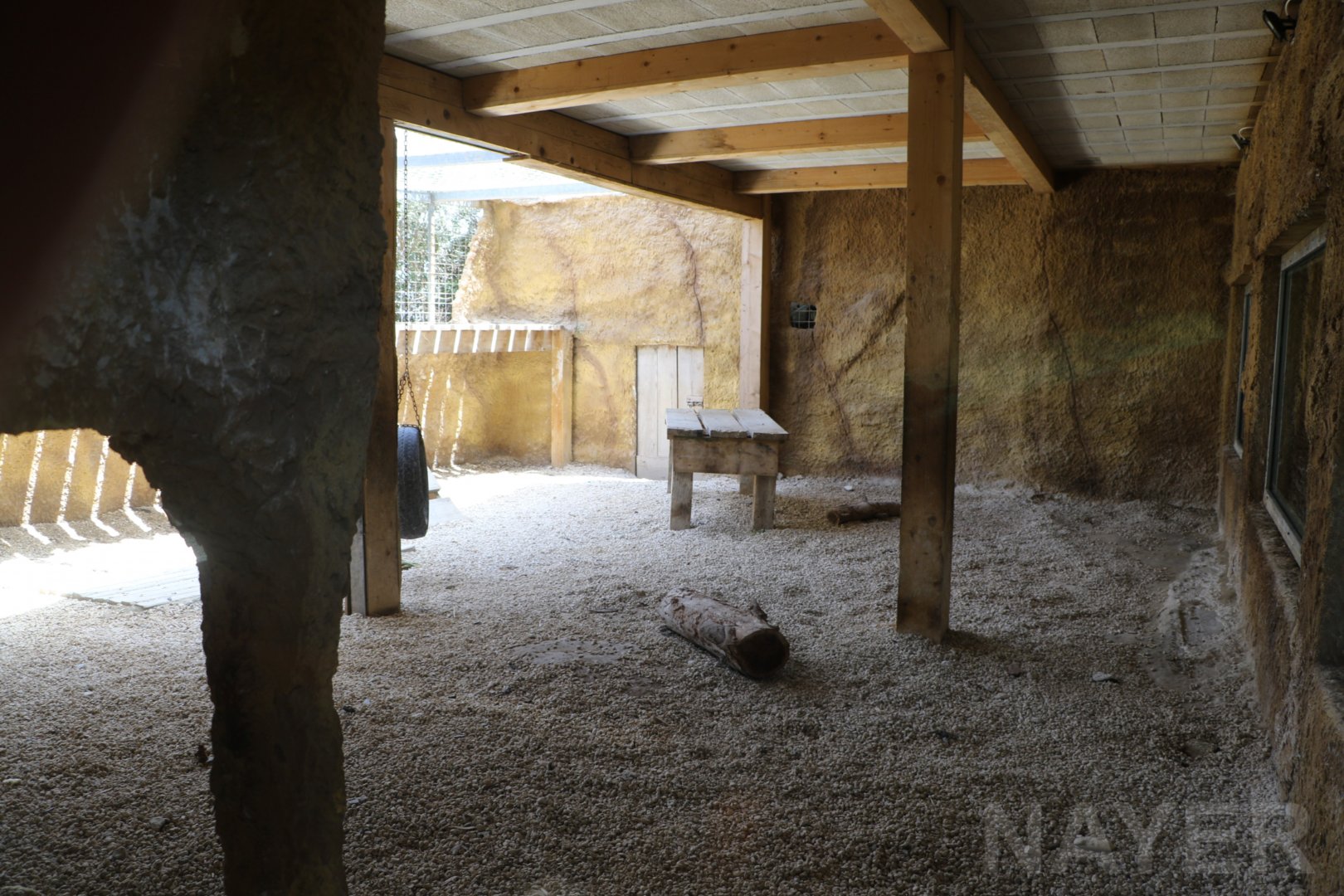 Lion enclosure - Wildlife Park Malta, June 2019