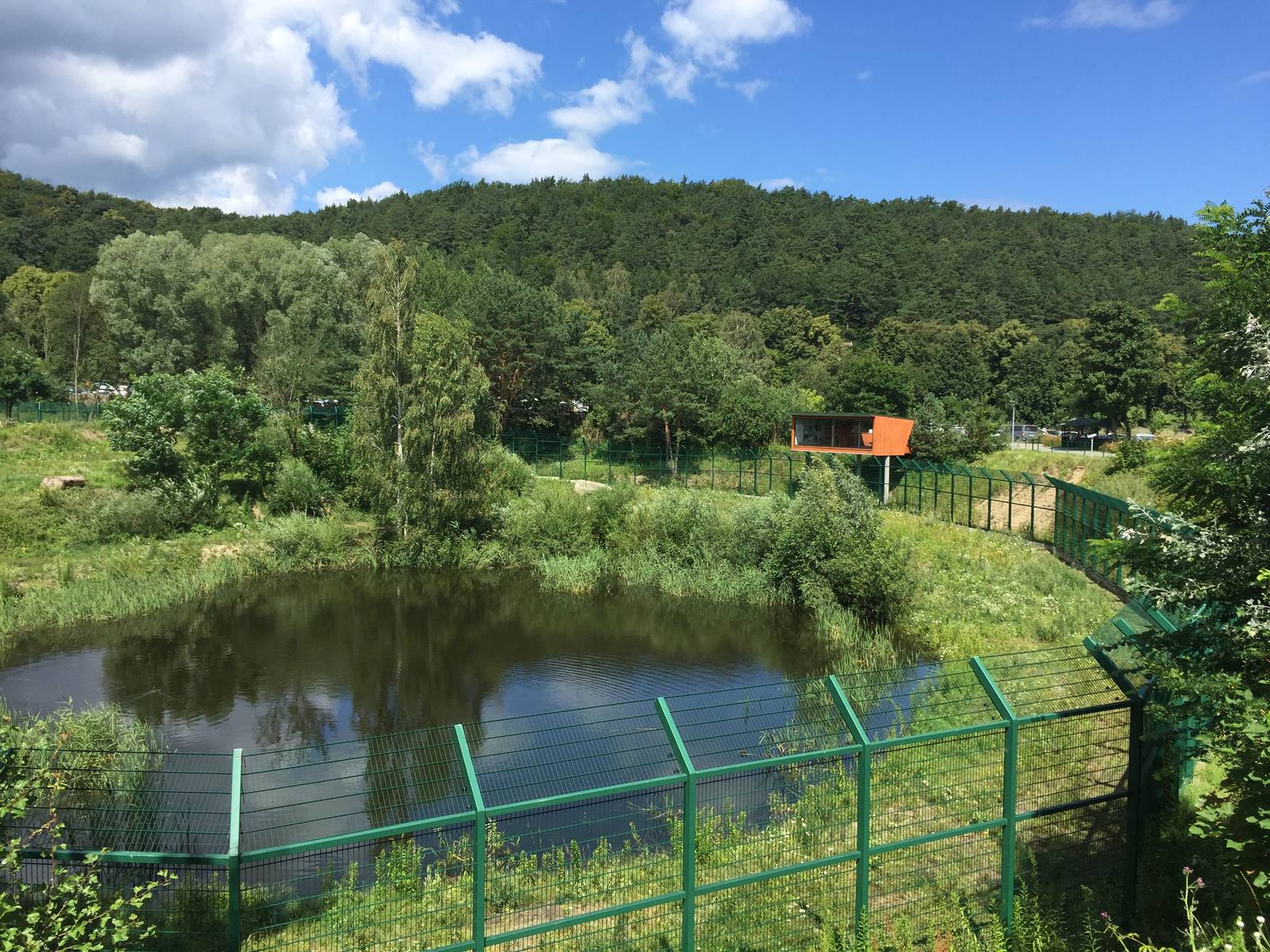 Lion enclosure with viewing point - Zoo Gdansk 20.07.16.