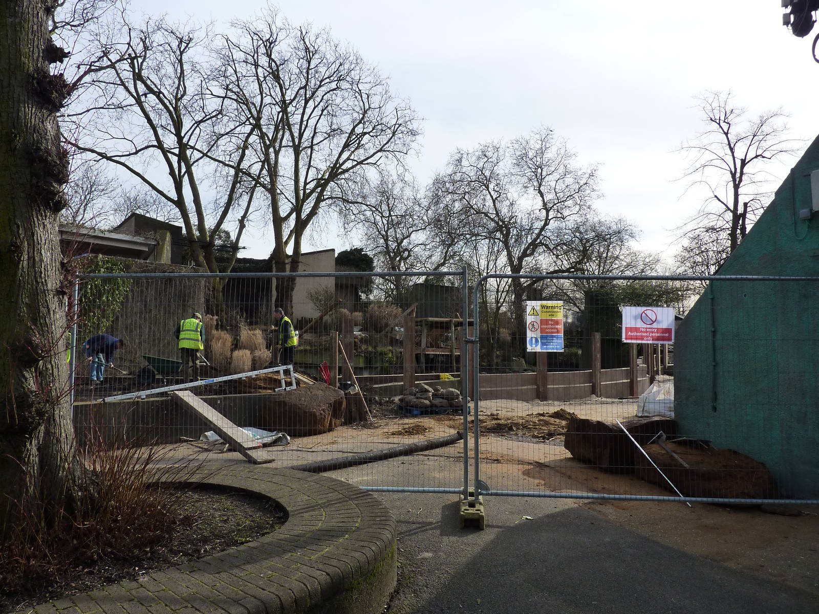 Lion enclosure works